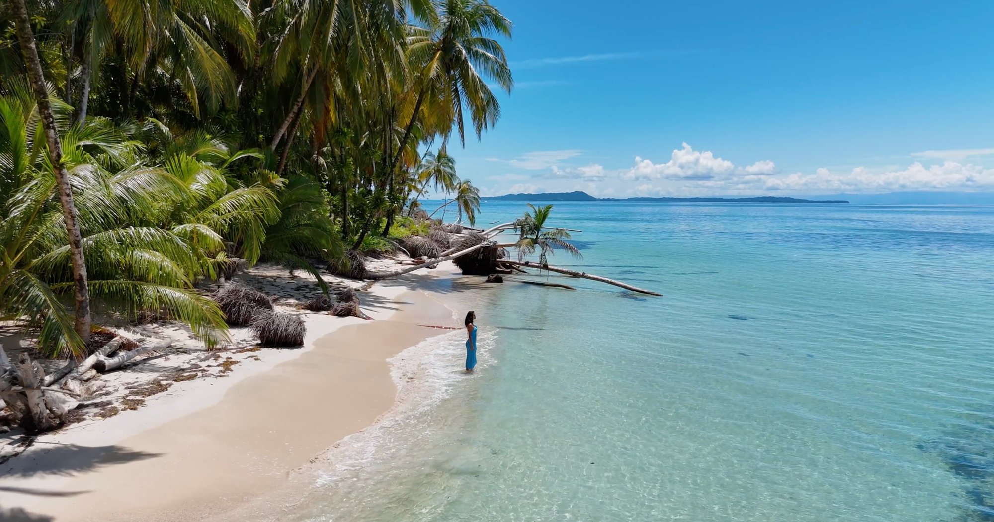 Beach and palms on the Zapatillas islands near Nayara Bocas del Toro