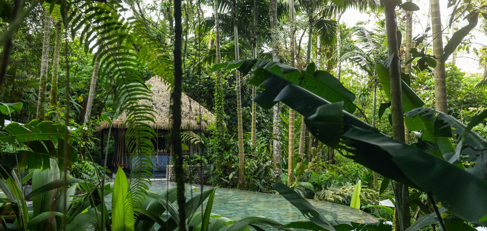 Nature-Based Wellness at Nayara Resorts: How Deserts, Rainforests, Oceans, and Night Skies Shape Human Health