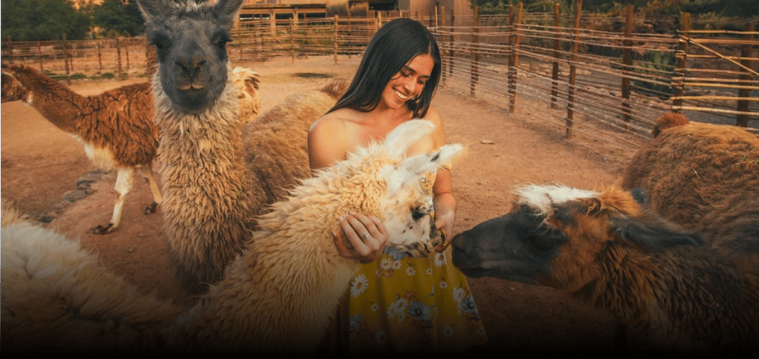 Image principal@2x(3)