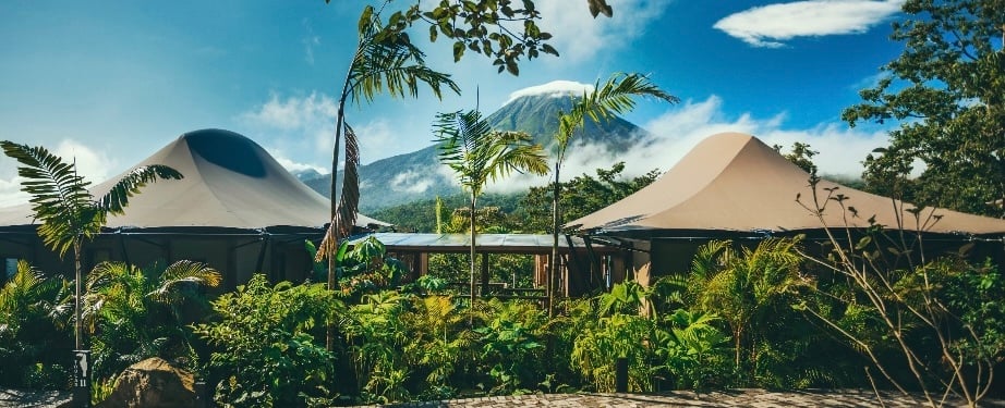 Rooted in Community: Human Hospitality