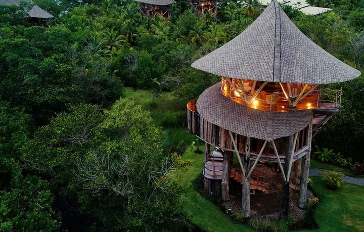 IBUKU treehouse at Nayara Bocas del Toro rising above the canopy