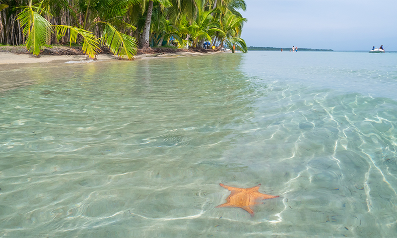 5 Interesting Facts About Bocas del Toro, Panama (4)
