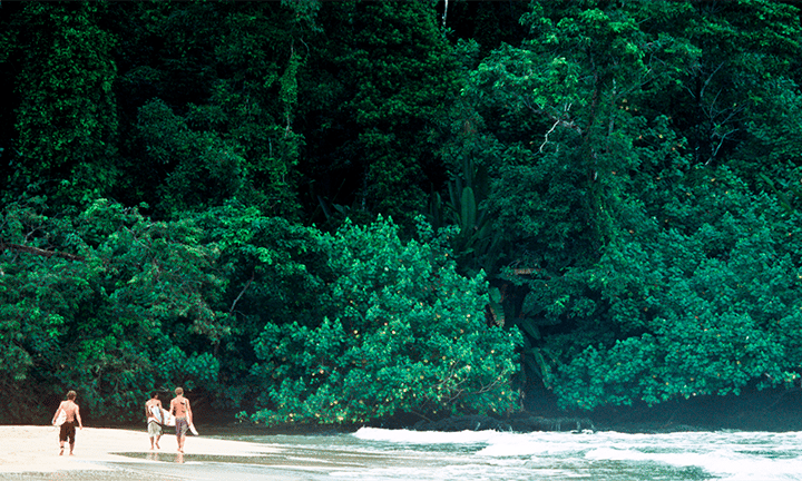 Reef break waves and empty beaches of Bocas del Toro, Panama