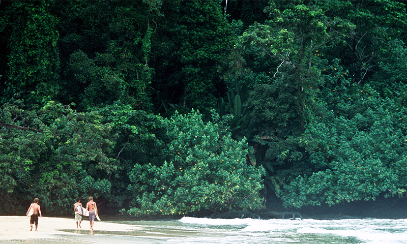 5 Interesting Facts About Bocas del Toro, Panama (5)