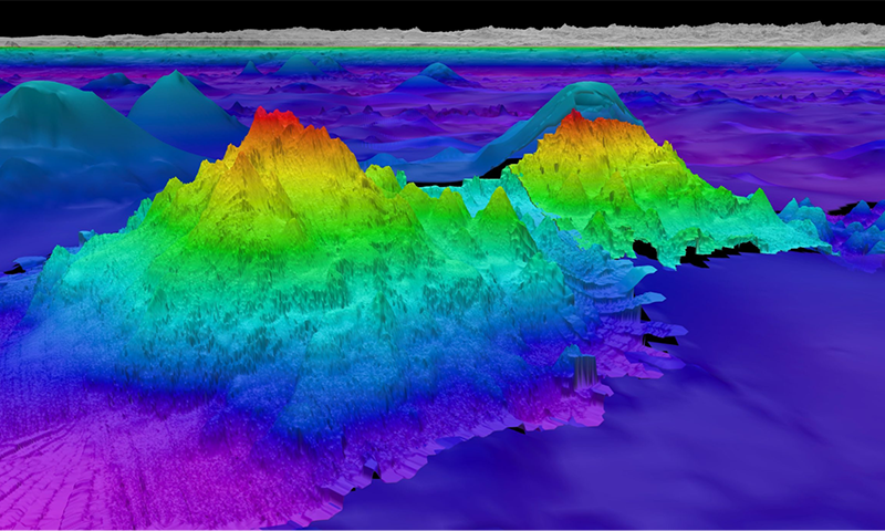 Biodensity, Underwater Mountains, and More  A Different Perspective on Our Ecosystems (2)