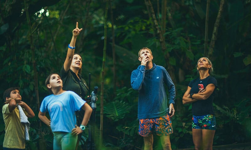 Meeting The Toucans of Arenal Rainforest  Who They Are, and How to See Them (1)