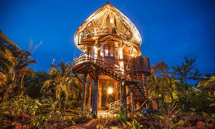 IBUKU treehouse above the canopy at twilight, Nayara Bocas del Toro