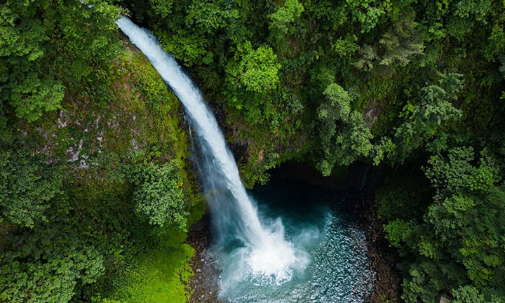 Lush rainforest canopy in the Arenal region of Costa Rica