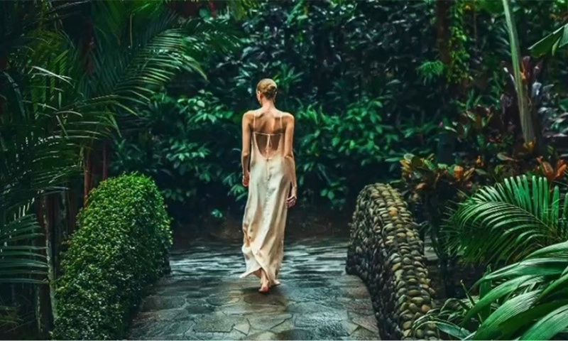 Sloth Spotting, Bioluminescence, Festivals, and Stars  The Year Ahead at Nayara Resorts (1)