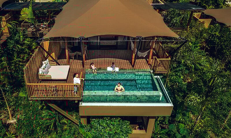 Sloth Spotting, Bioluminescence, Festivals, and Stars  The Year Ahead at Nayara Resorts (11)