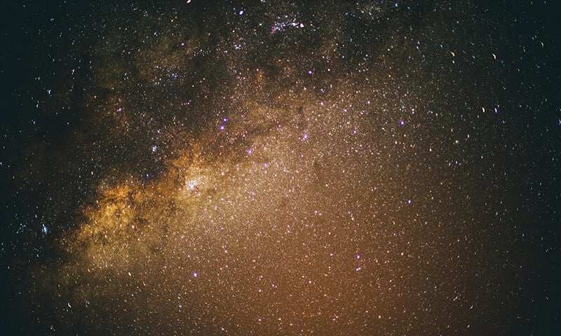 Sloth Spotting, Bioluminescence, Festivals, and Stars  The Year Ahead at Nayara Resorts (2)