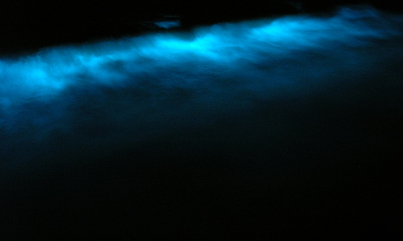 Sloth Spotting, Bioluminescence, Festivals, and Stars  The Year Ahead at Nayara Resorts (2)