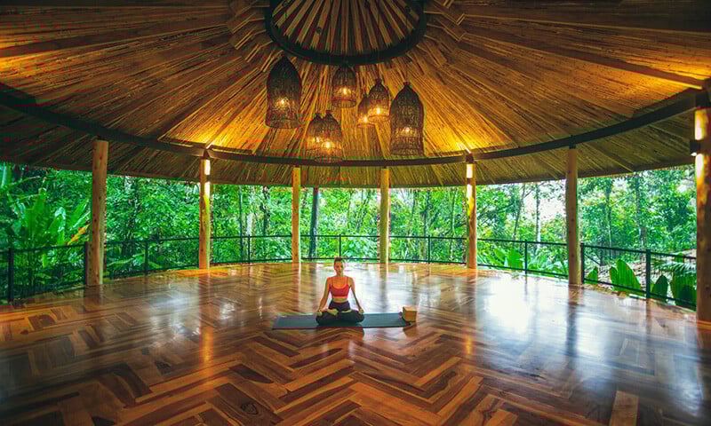 Sloth Spotting, Bioluminescence, Festivals, and Stars  The Year Ahead at Nayara Resorts (4)