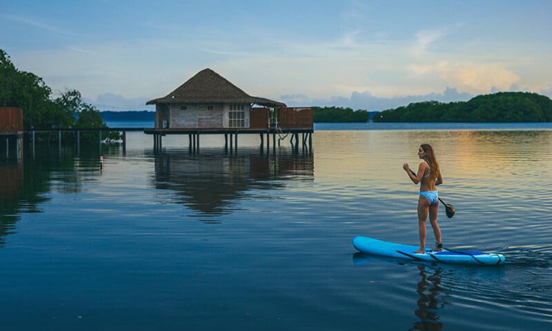 Sloth Spotting, Bioluminescence, Festivals, and Stars  The Year Ahead at Nayara Resorts (8)