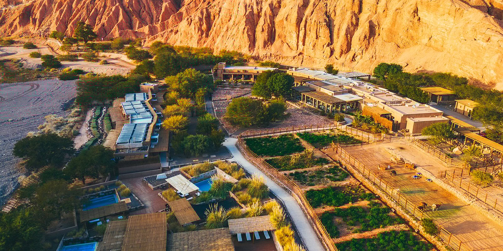 The Future of Sustainable Luxury, Eco-Lodging, and Regenerative Tourism
