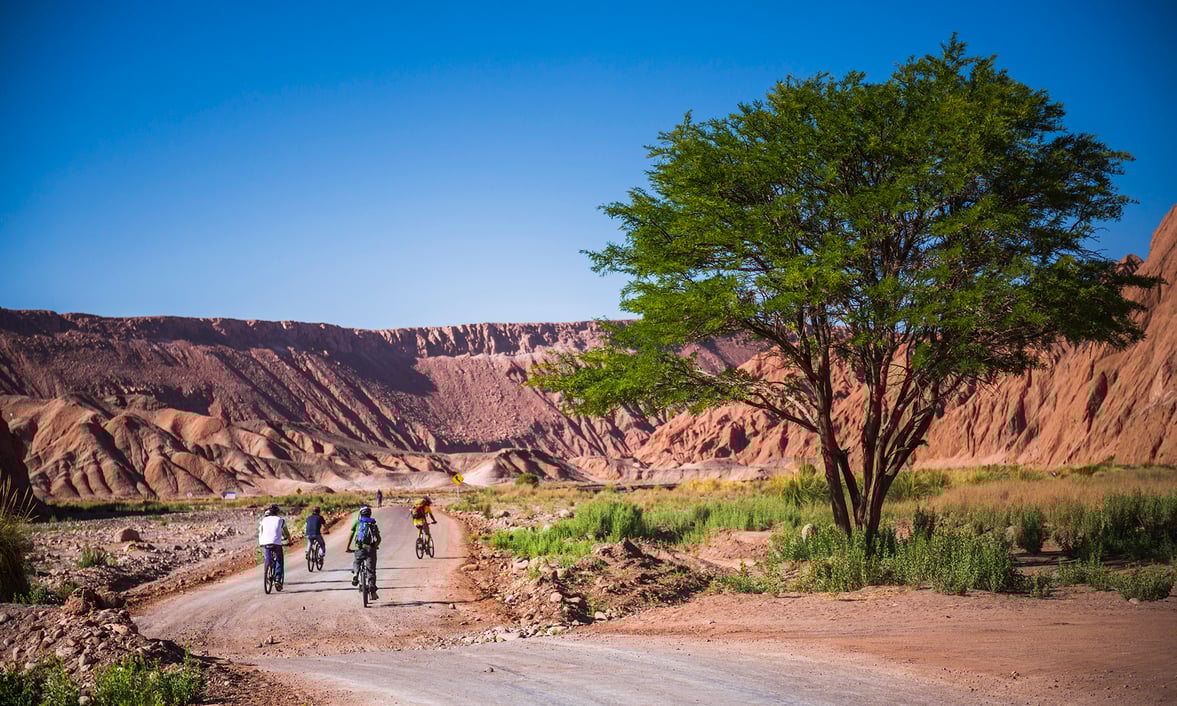Why Visiting the Atacama in Winter Feels Like Discovering a Secret (12)