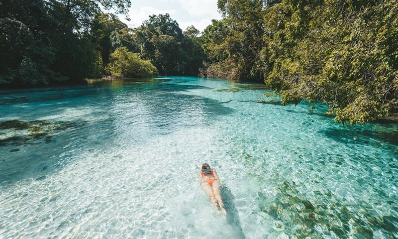 Inside Nayara Resorts: A Guest Review Journal