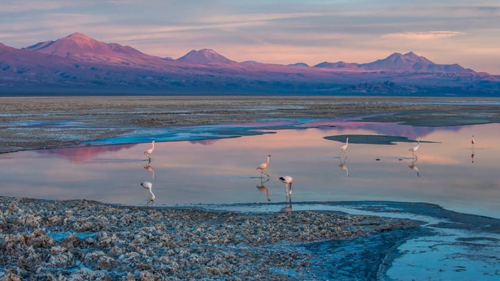 The Salar de Atacama salt flat in Chile's high desert