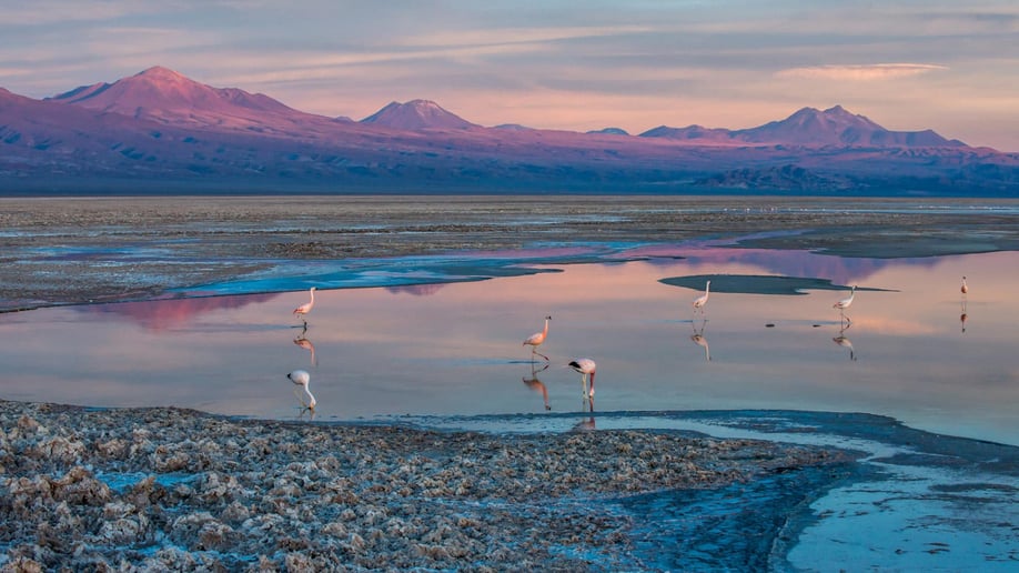 Landscape-1_SalardeAtacama