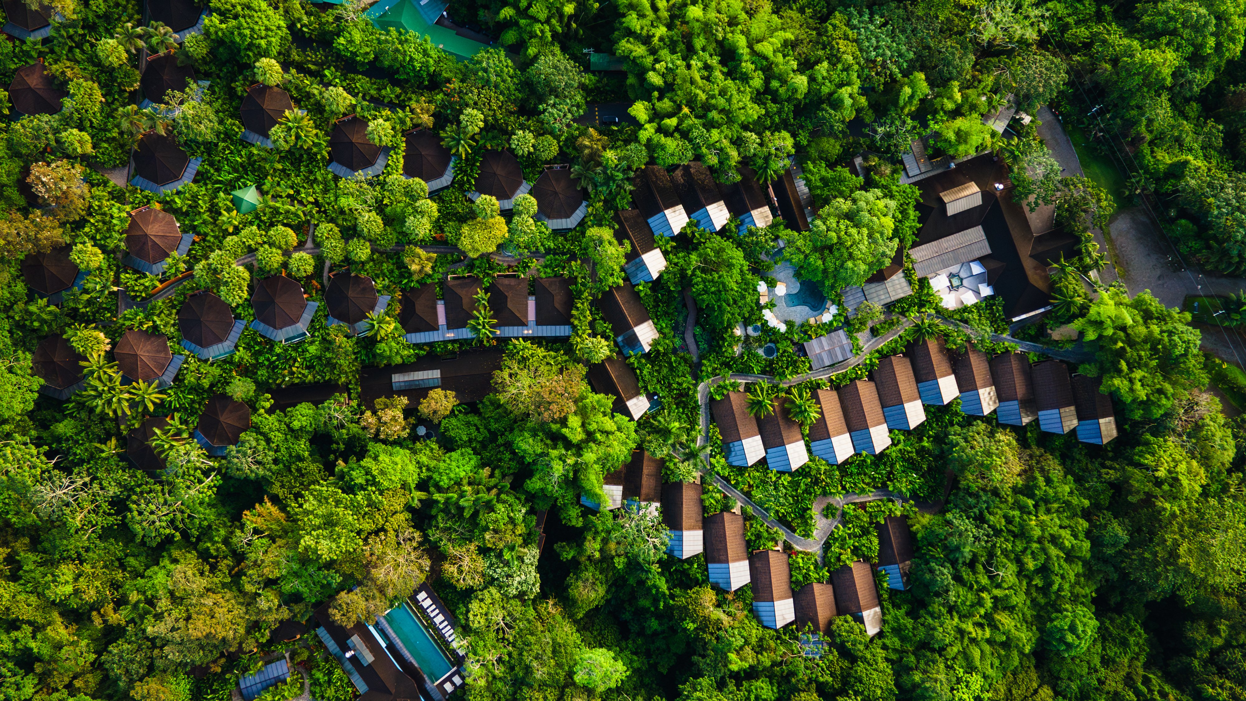 Open-air yoga pavilion overlooking the rainforest canopy at Nayara