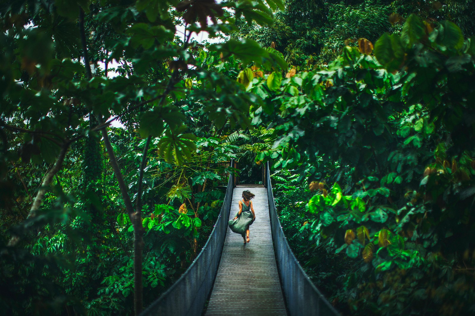 Experiential Travel at Nayara: The Present & Future of Luxury Travel