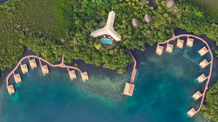 Overwater villas on stilts above intact mangrove roots at Nayara Bocas del Toro