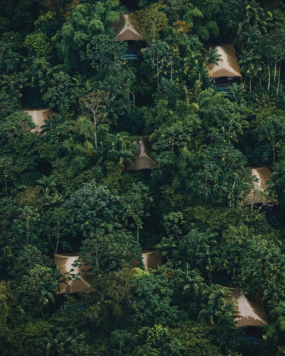 Forest Bathing & The Healing Power of Nature Across 4 Ecosystems