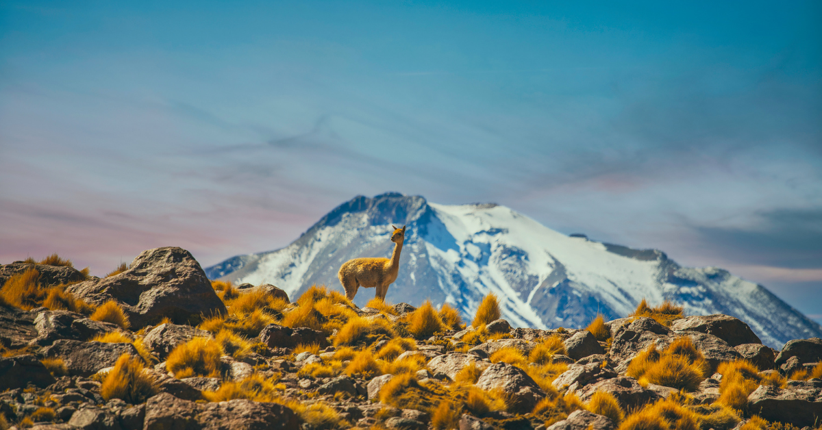 Why Winter is the Best Time to Experience the Atacama Desert