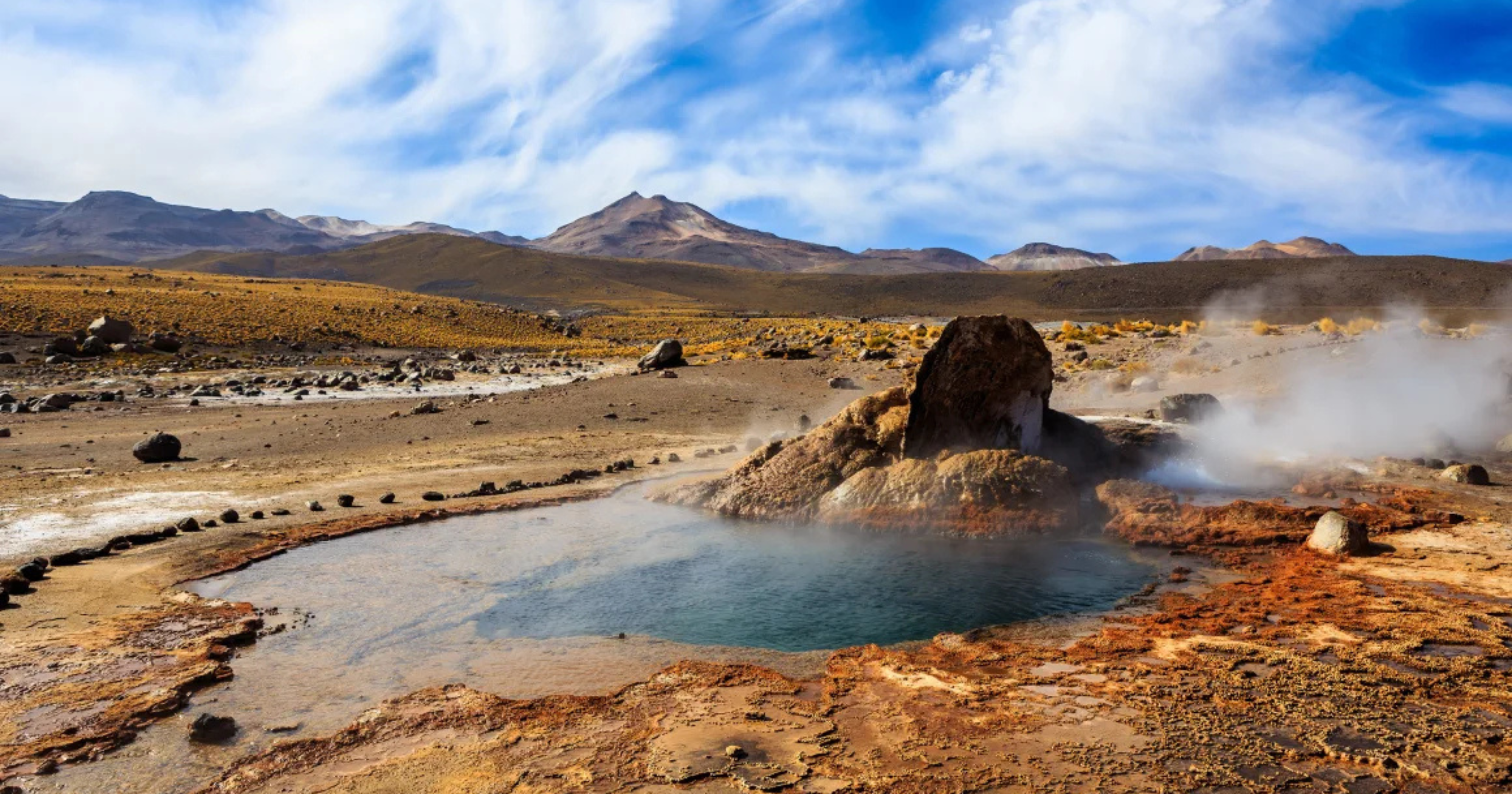 Wildlife Conservation in Chile's Atacama Desert and Easter Island