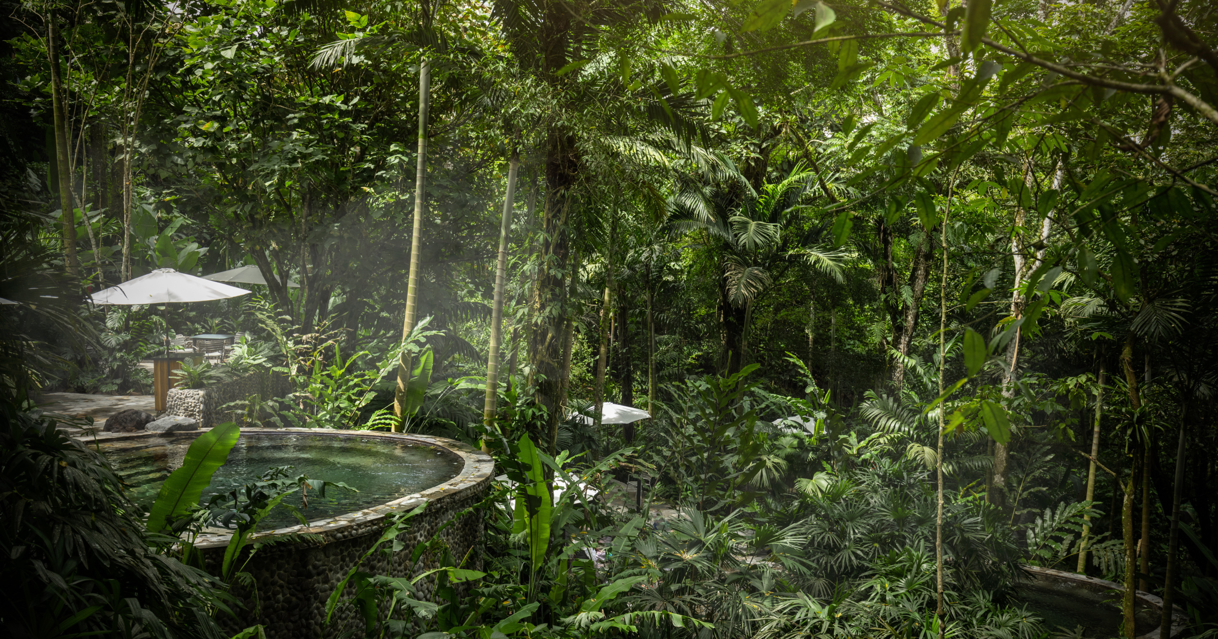 Costa Rica's Top Family Rainforest Adventure: Meet Nayara Gardens