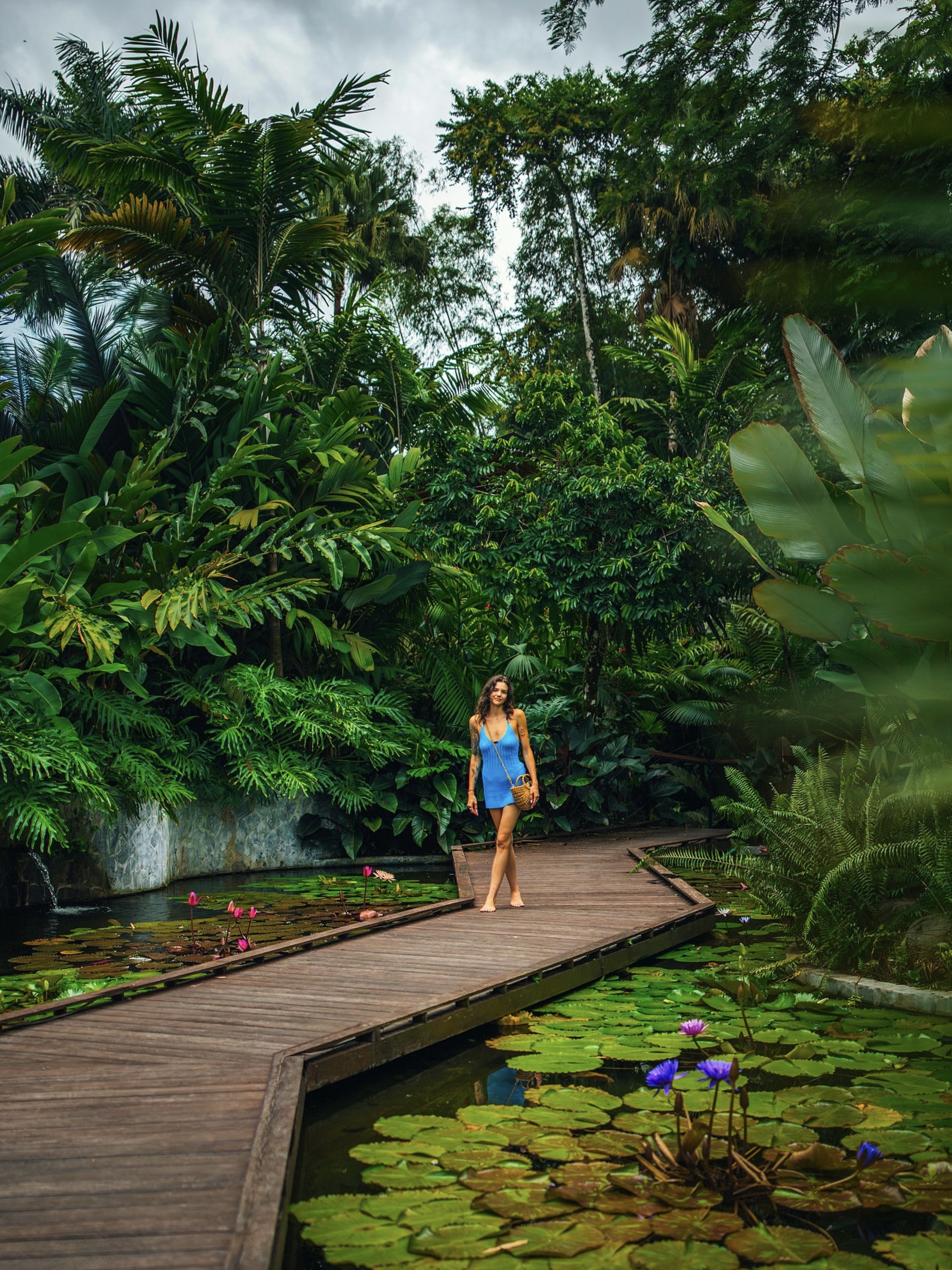 A guest walking beside a water garden in the rainforest at Nayara